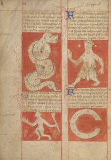 Constellation; Astronomical and Medical Miscellany, late 14th century, shortly after 1386. Creator: Unknown.