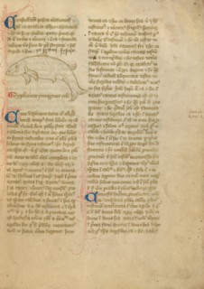 Constellation; Astronomical and Medical Miscellany, late 14th century, shortly after 1386. Creator: Unknown.
