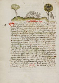 A Flock of Birds under a Tree including a Crowned Eagle with a..., third quarter of 15th century. Creator: Unknown.