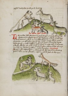 Lions and a Donkey with Other Animals: A Lion in his Den and a Fox..., third quarter of 15th cent. Creator: Unknown.