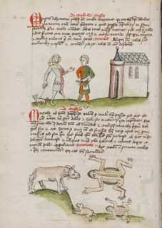 A Man with a Weasel on a Leash: An Ox, Frogs, and Toads; Fables, third quarter of 15th century. Creator: Unknown.