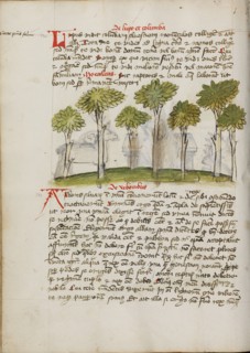 A Forest; Fables, third quarter of 15th century. Creator: Unknown.