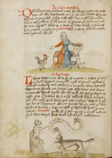 A Woman with a Vessel and a Hen: A Monkey Instructing a Fox..., third quarter of 15th century. Creator: Unknown.