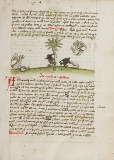 An Eagle Seizing a Snail: A Crow Pecking at a Snail; Fables, third quarter of 15th century. Creator: Unknown.