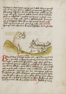 A Frog Sitting on a Hill Receiving a Vessel from a Group of Animals, third quarter of 15th century. Creator: Unknown.