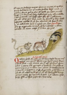 A Lion and an Ox before a Billy-Goat; Fables, third quarter of 15th century. Creator: Unknown.