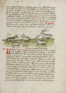 A Dog, Sheep, and Rams; Fables, third quarter of 15th century. Creator: Unknown.