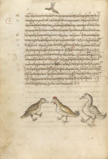 A Duck, a Rooster, and a Goose; Miscellany: Physiologus: other texts, 1510-1520. Creator: Unknown.