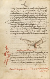 A Bird Pecking at an Animal; Miscellany: Physiologus: other texts, 1510-1520. Creator: Unknown.