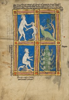 Praesillus; A Hairy Woman of the Island of Gorgade; A Scorpion; De Natura Avium..., 1277 or after. Creator: Unknown.