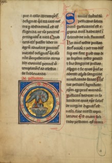 A Pelican Feeding her Young; De Natura Avium; De Pastoribus et Ovibus, 1277 or after. Creator: Unknown.