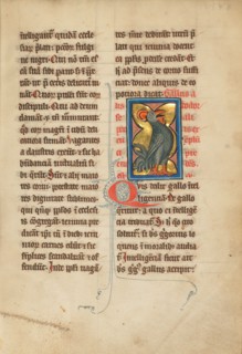 A Rooster; De Natura Avium; De Pastoribus et Ovibus; Bestiarium, 1277 or after. Creator: Unknown.