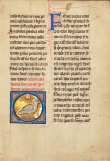 A Phoenix; De Natura Avium; De Pastoribus et Ovibus; Bestiarium, 1277 or after. Creator: Unknown.