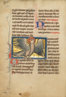 An Eagle; De Natura Avium; De Pastoribus et Ovibus, 1277 or after. Creator: Unknown.