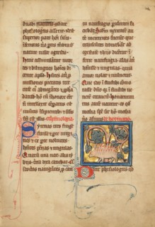 A Hedgehog; De Natura Avium; De Pastoribus et Ovibus; Bestiarium, 1277 or after. Creator: Unknown.