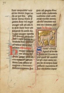 A Monkey; De Natura Avium; De Pastoribus et Ovibus, 1277 or after. Creator: Unknown.