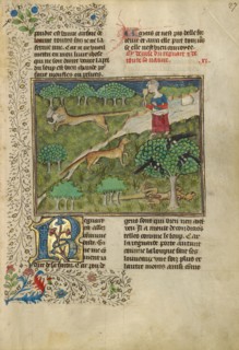 Foxes and their Ruses; Livre de la Chasse, about 1430-1440. Creator: Unknown.