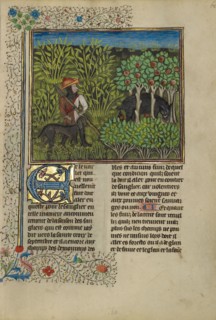 A Hunter and a Dog Tracking a Wild Boar; Livre de la Chasse, about 1430-1440. Creator: Unknown.