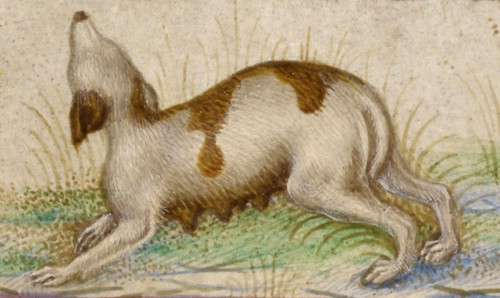 Gualenghi-d'Este Hours, about 1469. Creator: Taddeo Crivelli.