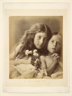 The Red and White Roses, 1865. Creator: Julia Margaret Cameron.