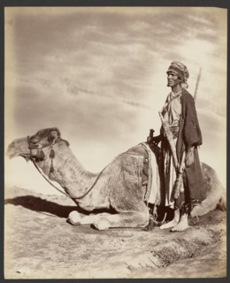 Man and camel, about 1870-1890. Creator: Unknown.