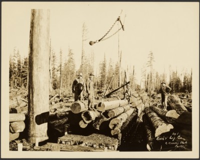 Logging/ Timber Scene, about 1910-1945. Creator: Darius Kinsey.