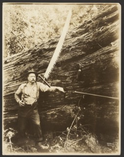 Logger and felled tree, about 1910-1945. Creator: Darius Kinsey.
