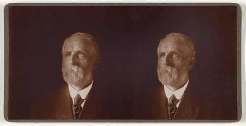 Portrait of Ava H. Fenn, M.D., about 1890. Creator: Unknown.