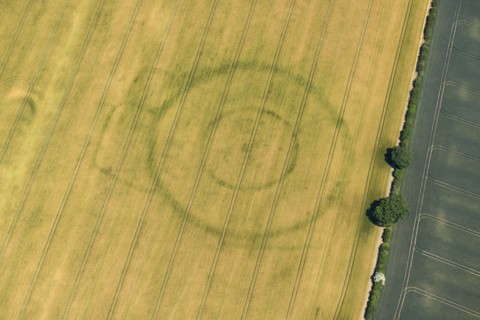 Cropmarks of a Neolithic henge and later enclosures at Paddock Hill, East Riding of Yorkshire, 2022. Creator: Emma Trevarthen.