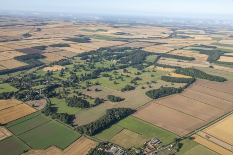 Dalton Hall landscape park, East Riding of Yorkshire, 2024. Creator: Robyn Andrews.
