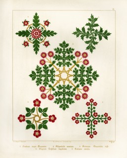 Floriated ornament: a series of thirty-one designs by Augustus Welby Pugin, architect..., 1849. Creator: H C Maguire.