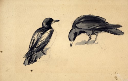 Study of two rooks for 'Christmas Eve 1887', c1887-88. Creator: John Everett Millais.