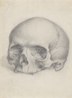 A human skull viewed from the front, for Cheselden's `Osteographia', by 1733. Creator: Gerard Vandergucht.
