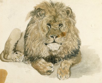 A lion at the Exeter 'Change, c1820. Creator: John Frederick Lewis.