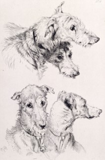The Four Irish Greyhounds, c1860. Creator: Edwin Henry Landseer.