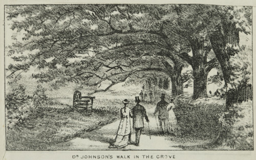 Dr Johnson's Walk in the Grove at Alexandra Palace, 19th century. Creator: Unknown.
