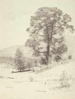 The Chestnut Tree, c1920s. Creator: Bolton Coit Brown.
