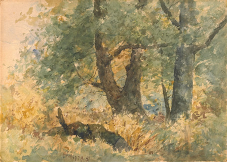 Woodland Landscape, 1881. Creator: William Forsyth.