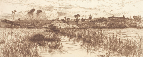 The Haunt of the Muskrat - Easthampton, 1884. Creator: Mary Norman.