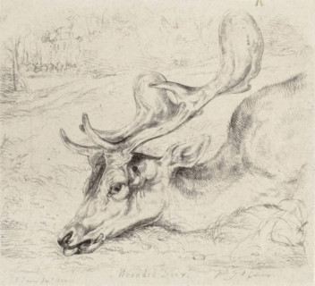 Wounded Deer, 1824. Creator: John Frederick Lewis.
