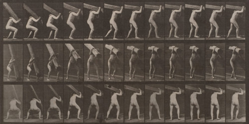 Man Lifting Beam: Plate 383, 1887. Creator: Eadweard J Muybridge.