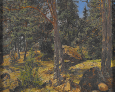 A Fir Bank, date unknown. Creator: Gottfrid Kallstenius.