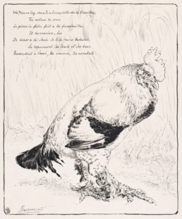 Le Coq (The Cock), 1882. Creator: Felix Bracquemond.