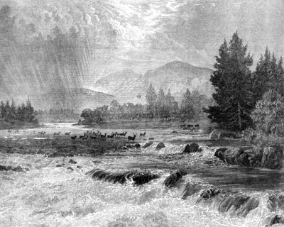Passing Showers - Forest of Glentanner, Aberdeenshire, by E. A. Waterlow, 1873. Creator: Unknown.