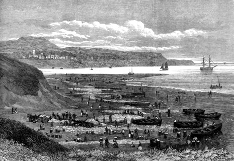Great take of herring at the mouth of the Exe, 1873. Creator: Unknown.
