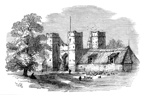 The Isle of Thanet: Daundelion, 1873. Creator: Unknown.