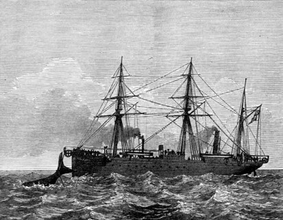 Wiring a whale by the Persian Gulf Submarine Telegraph Cable, 1873. Creator: Unknown.
