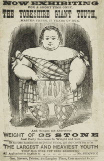 Master Smith, The Yorkshire Giant Youth, at the Agricultural Hall in Islington, 1873. 'Now