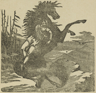 Maude Forrester as Mazeppa at Astley's Theatre, 1882. Illustration from an advertisement for a