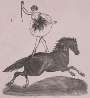 The Great International Cirque at the Theatre Royal, late 19th century. Illustration from an